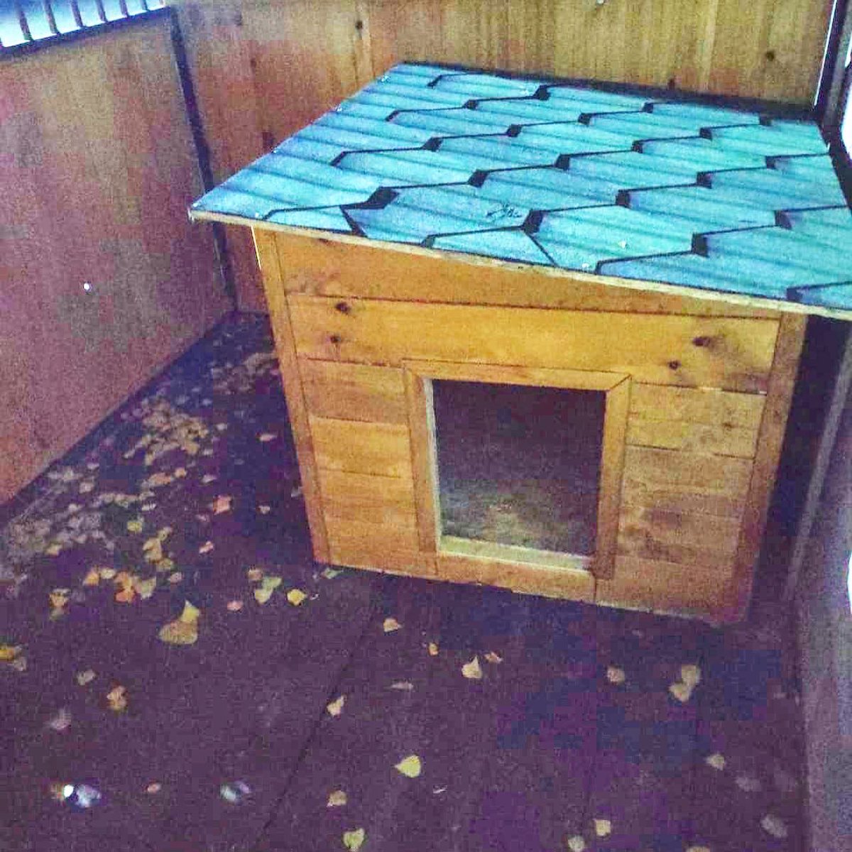 abcpets_kz's tweet photo. New kennels in Nur-Sultan pethotel https://t.co/a8A5jM6s0U