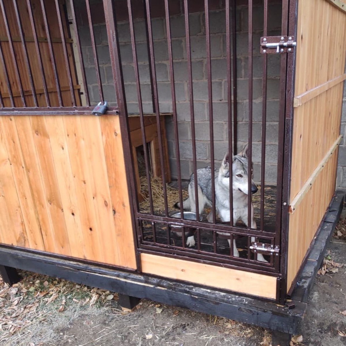 abcpets_kz's tweet photo. New kennels in Nur-Sultan pethotel https://t.co/a8A5jM6s0U