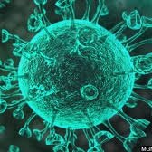 SMATconsulting's tweet image. 🔥 As #SMATcs we've updated our #PreventionandControl of Infection Learning and Assessment Resources to include #COVID-19.

⚡ There has been a huge demand from Learners to include #Coronavirus in our #Level2Certificate in Prevention and Control of Infection - so we listened!