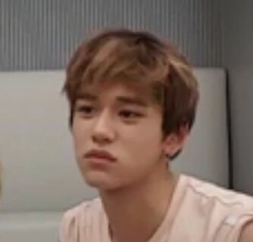 NCT & WayV memes. A thread ctto 