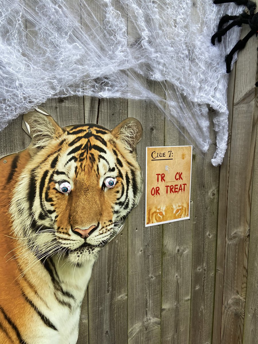 LincolnshireWi1's tweet photo. Thank you to everyone who visited and had a spooky wander around the park this weekend! We hope you enjoyed your treats🎃
See you on the other side of lockdown!
#Halloween2020 #spookytrail #charity #trickortreat @ParrotZoo https://t.co/F5u8NJeJbd