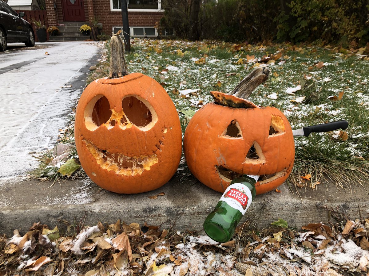 Our pumpkins had a party and lost their minds! #PumpkinParade2020