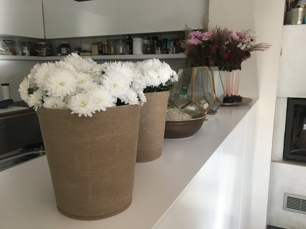 BloomingWalls's tweet photo. Plant of the month- Chrysanthemum🌸
DID YOU KNOW❓
Chrysanthemum tea is a popular drink brewed with the flowers from the plant. It’s especially popular in China, and is made with the dried flower heads. 

#bloomingwalls #thegreenpot #chrysanthemum #colors #lovely  #flowers https://t.co/SXvAAaYopu