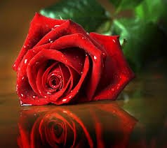 malakh12345's tweet photo. الي حابب يتعرف وهوجاد يجي علاالواتس 00967776632025ولكذابين لاشوفهم https://t.co/joFQn21G2e