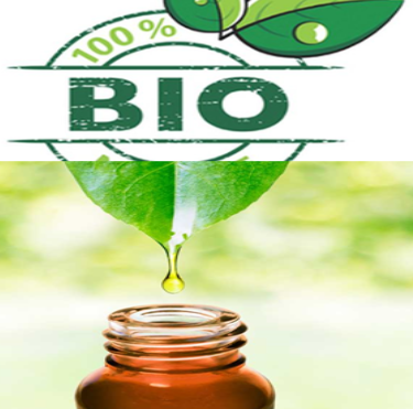miiduu's tweet photo. Our featured store this month brings you all natural cosmetics and more! https://t.co/su79Y8biwS #ecommerce #webstore #Miiduu https://t.co/RtrZIYqUei