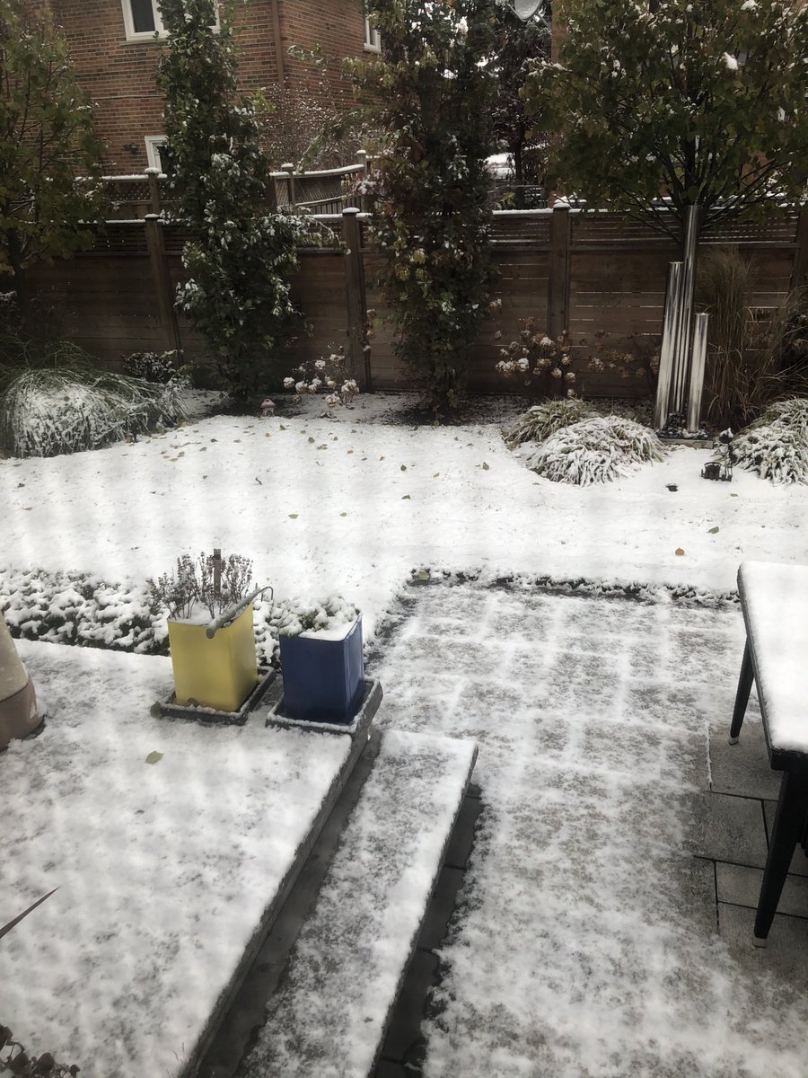 GinaAlexandris's tweet photo. Didn’t I just take off my snow tires a few weeks ago...?!
Have a good week everyone!
#firstsnow2020 https://t.co/B277Qn7U0Z