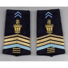 Savez-vous ce que sont les *soutaches* et les *brisques d'ancienneté*   #LeSaviezVous  #histoire  #militaire  #traditions  #thread