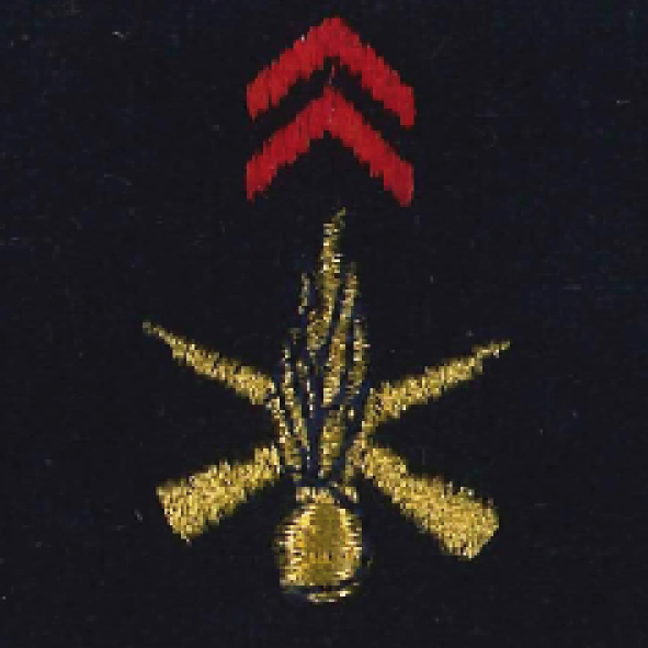 Les fourreaux d'épaule portent dans leur partie supérieure l'attribut de tradition de l'arme, de la subdivision d'arme ou du service d'appartenance surmonté ou non de chevrons définis dans les tableaux relations aux attributs et marques distinctives.