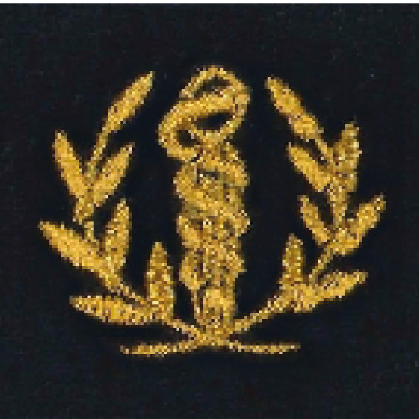 Les fourreaux d'épaule portent dans leur partie supérieure l'attribut de tradition de l'arme, de la subdivision d'arme ou du service d'appartenance surmonté ou non de chevrons définis dans les tableaux relations aux attributs et marques distinctives.