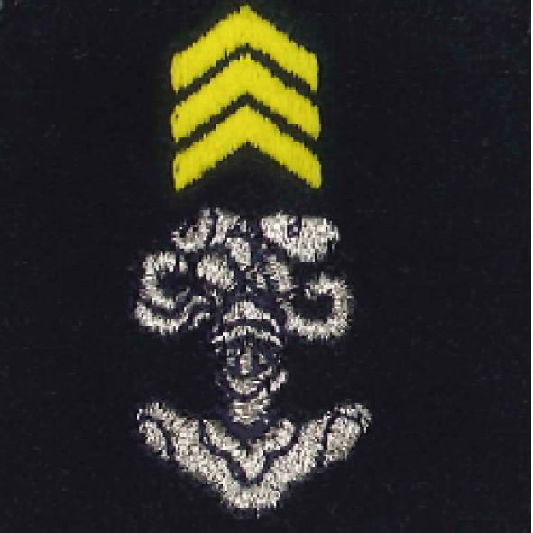 Les fourreaux d'épaule portent dans leur partie supérieure l'attribut de tradition de l'arme, de la subdivision d'arme ou du service d'appartenance surmonté ou non de chevrons définis dans les tableaux relations aux attributs et marques distinctives.