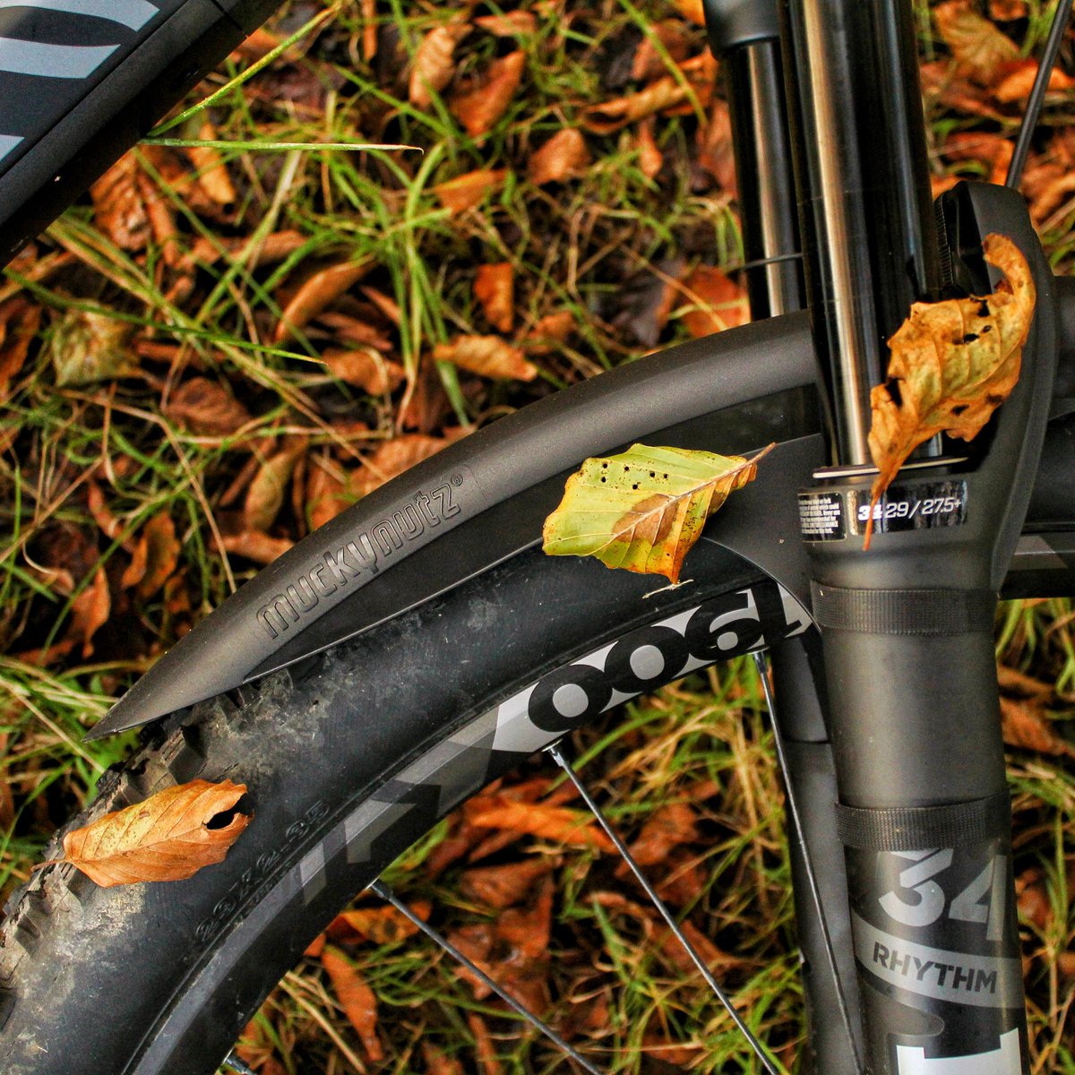 Just gunna leaf this here.. 🍃🍂
-
-
#MuckyNutz #MountainBike #MountainBiking #Mudguard #Bike #MTB #Cycle #Cycling #Fitness #Sport #Enduro #Downhill #Trails #Dirt #Loam #Bicycle #MTBLife #BikeLife #Freeride #BikeRide #CanyonBikes #Autumn #Fall #November #Colour #Outdoors #Explore