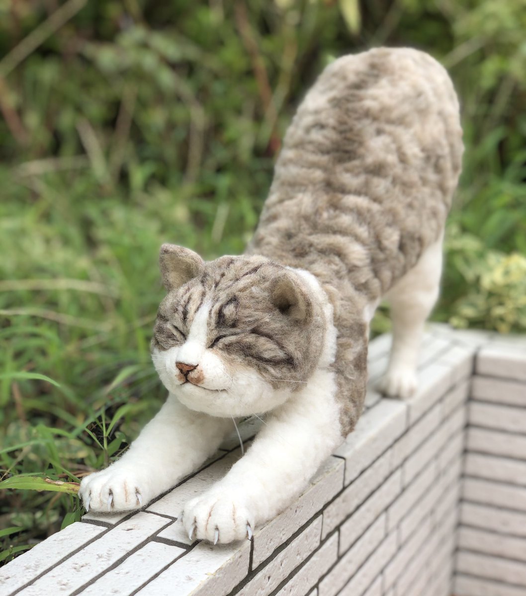 Twoucan 伸び猫 の注目ツイート イラスト マンガ コスプレ モデル
