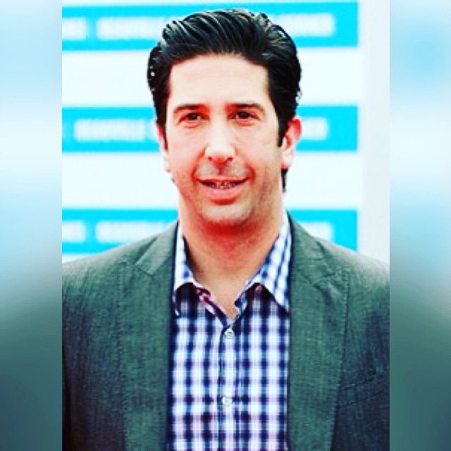 Happy Birthday David Schwimmer   