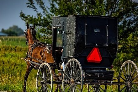 thebaynetcom's tweet photo. Watch Out For Buggies During Amish Wedding Season https://t.co/g5JFeuBPCb https://t.co/hbge9WwvaB