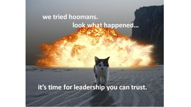 the problem with political ads is that they all regurgitate the same formulaic pablum.