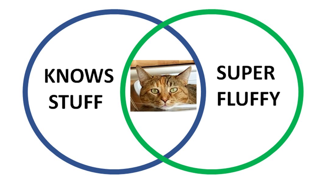 had inspired ideas that did not feel like you were being forced to choose between the lesser of evils?