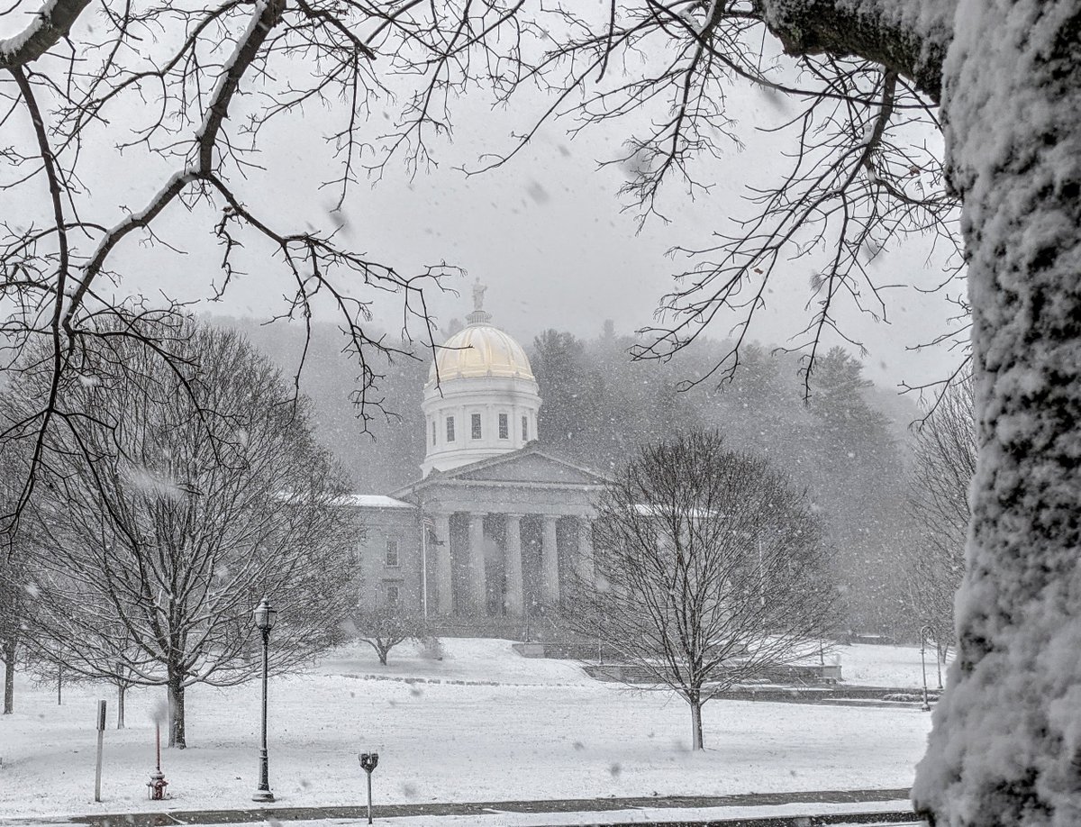 VermontSOS's tweet photo. As of this morning 245,808 #Vermont voters have voted. That's more than 3/4 (76%) of the entire turnout in 2016! #VT can be proud of how we've embraced early voting - this will help keep our polling places manageable & safe on Election Day. #VOTE #VoteEarly #VoteSafeVT #vtpoli https://t.co/9qpsC48POc