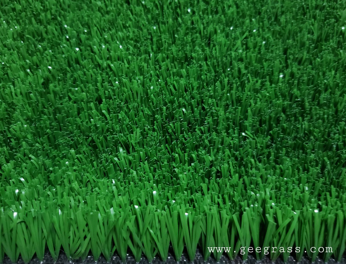 Winson_Gee's tweet photo. GeeGrass 19mm tennis turf
Straight monofilament fiber https://t.co/87AQebQO7w
