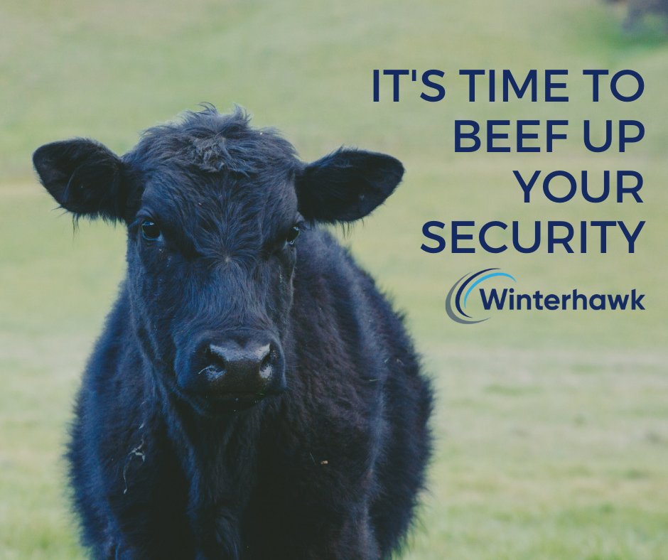 Let Winterhawk focus on security and governance, so you can focus on running your business => winterhawk.com/sap-security/
#sapsecurity #sapservices #saps4hana #cybersecurity