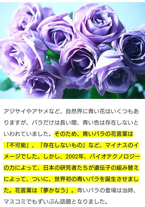 夢かなうのtwitterイラスト検索結果 古い順