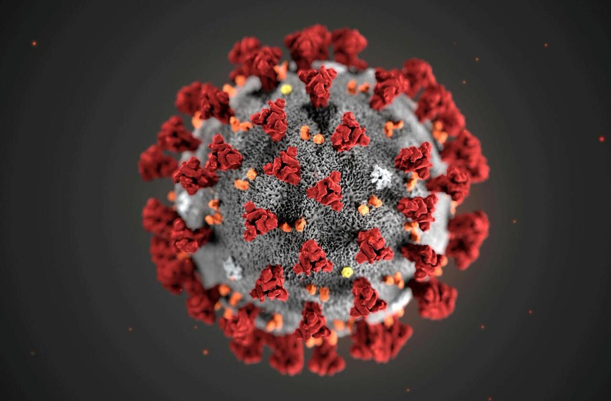 le_Parisien's tweet image. Covid-19 : l’orteil violet pourrait être un symptôme de plus
➡️ l.leparisien.fr/djjq