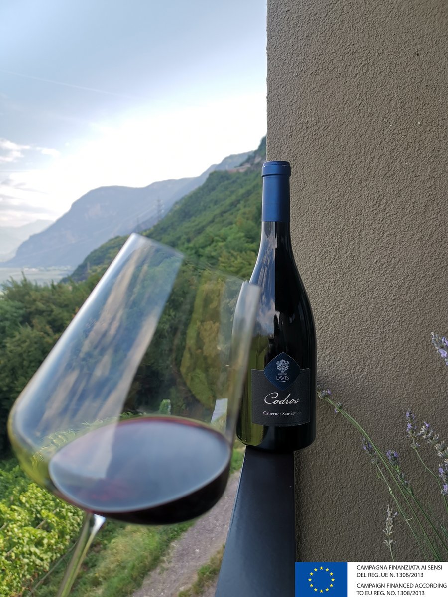 EthicaWines's tweet image. 🍷Cantina Lavis - Codros Cabernet Sauvignon Trentino DOC ⛰️

Rich ruby in colour, it is complex to the nose, with notes of balsam and spice, which later turn to blueberry, mint and cardamom, and delicate hints of vanilla.💚🍇

#lavis #codros #japan #trentino #laviswinesinjapan 🇯🇵
