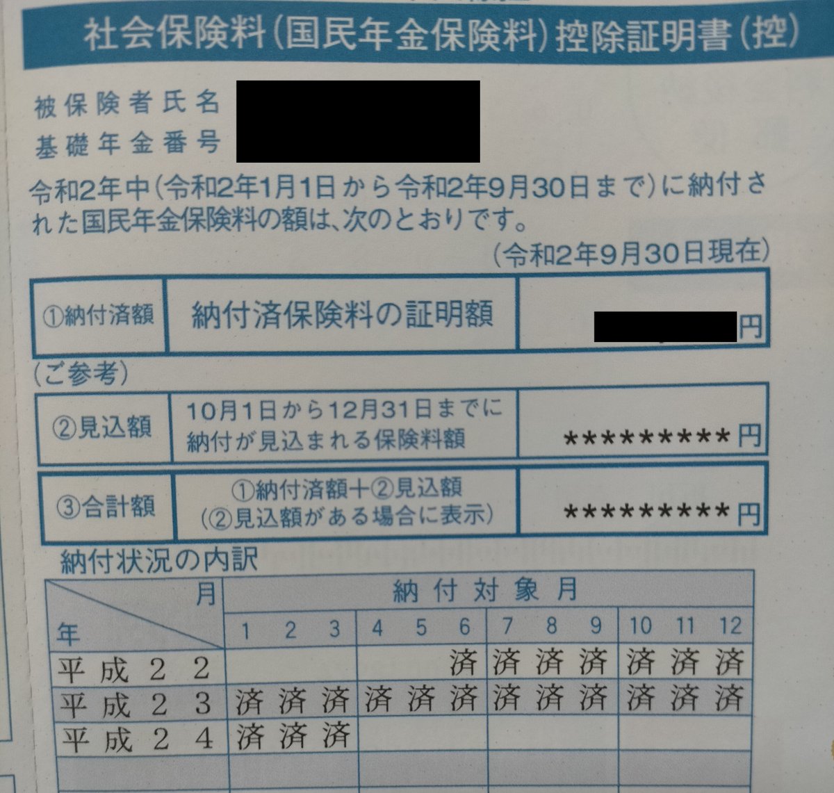 年金 社会 保険 控除 国民 料