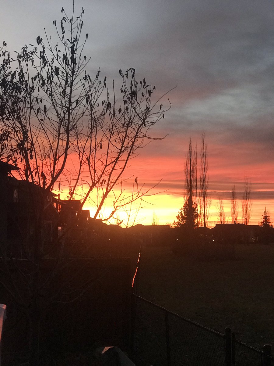pnaymomcalgary's tweet photo. Sunset...#yycsky, #sunset, #Calgary, #serenity, #NaturePhotography, #scenery, #canada https://t.co/tZB003Q7Qa