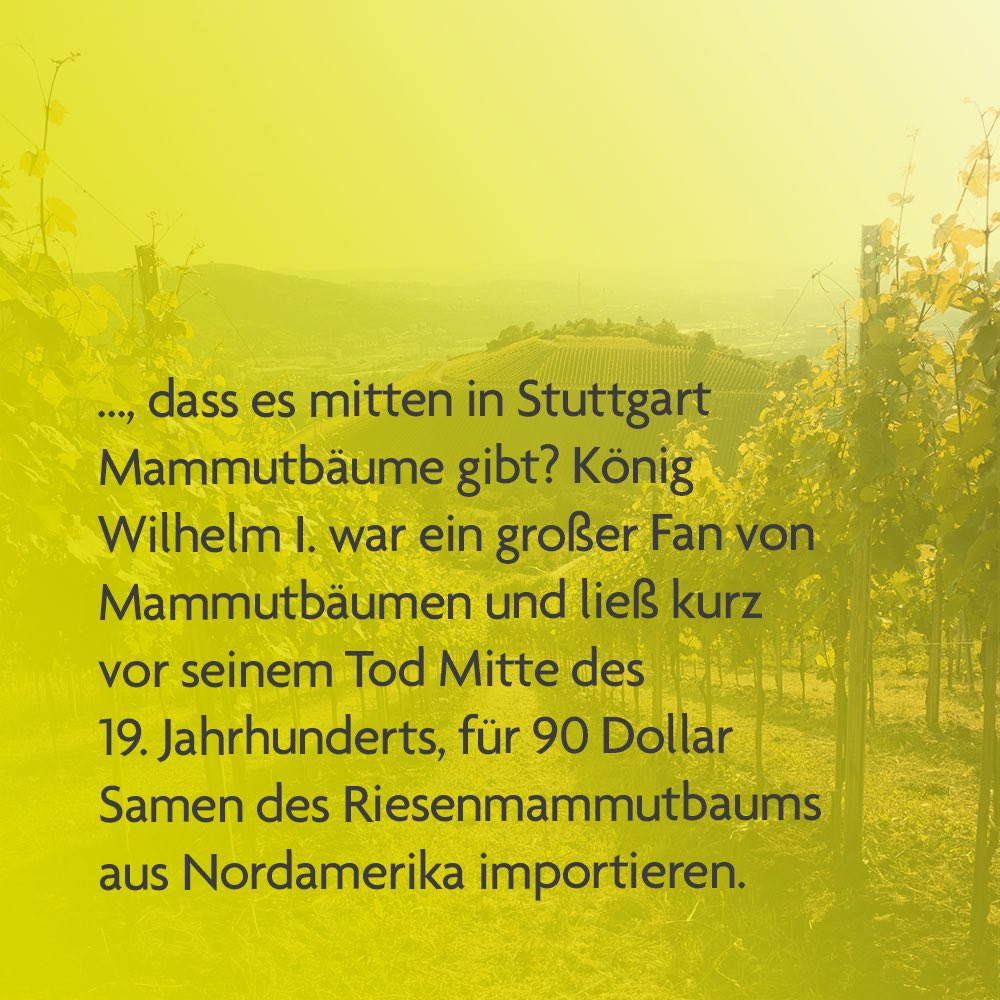 PRIHO e.V. tweet media