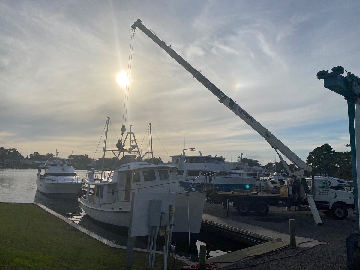 DBYard's tweet image. 