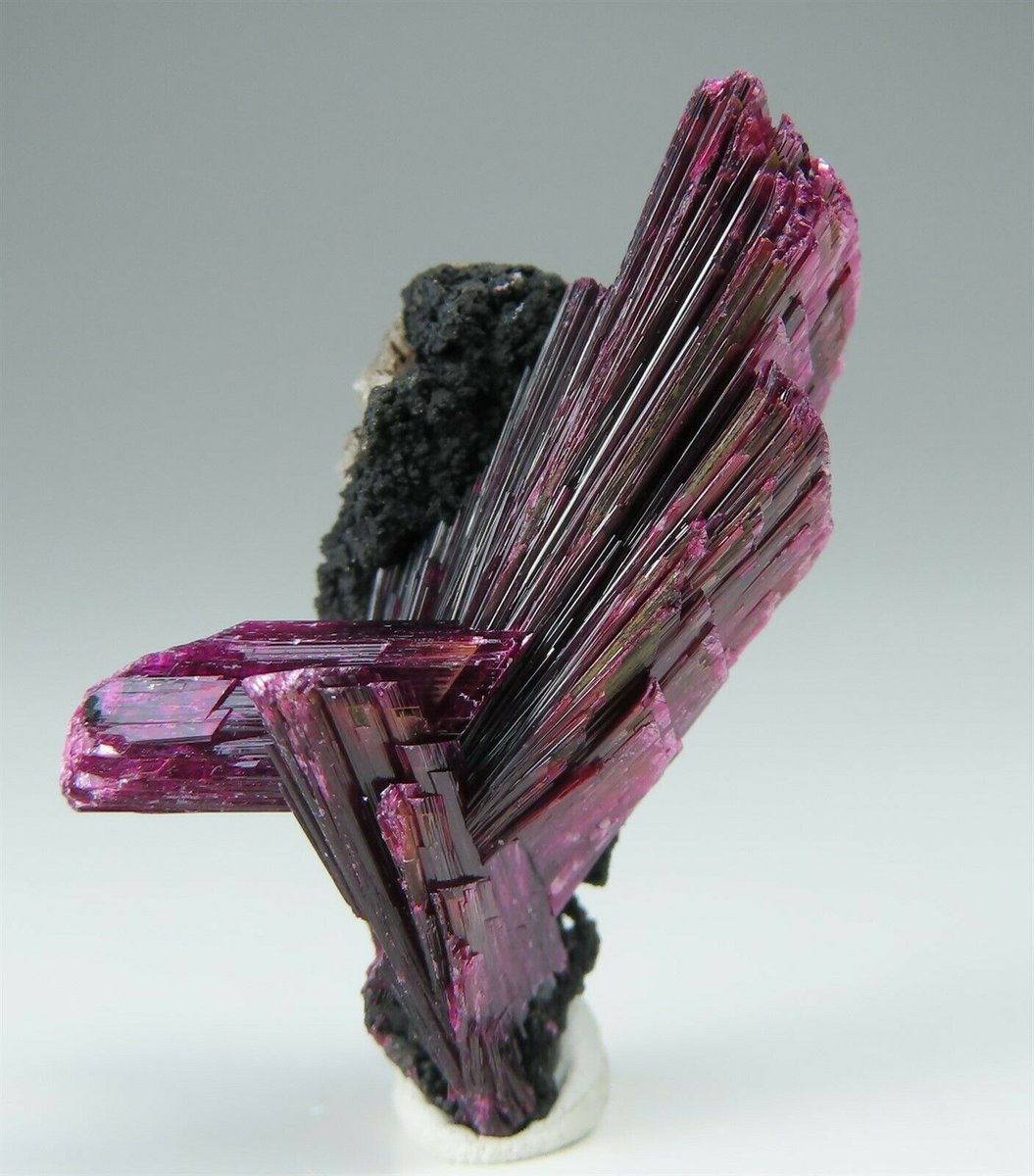GeologyTime's tweet photo. Gorgeous Erythrite Crystals From Bou Azzer Mine, Morocco

Credit: jewels-fine-minerals

#minerals #crystals https://t.co/Y7a5Keb33W