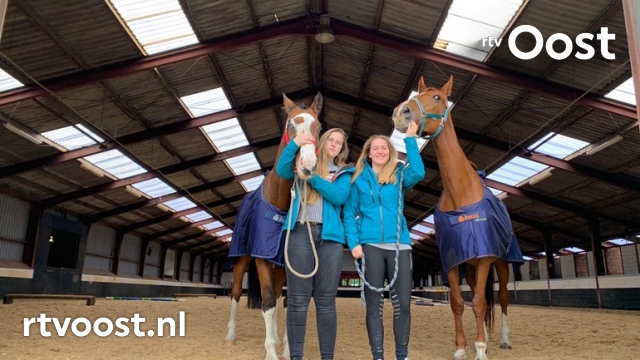 rtvoost's tweet photo. Paarden bekende vloggers losgebroken en gewond na vuurwerkbom in Hengelo https://t.co/GzOnLbNWeX #rtvoost https://t.co/zyYiIrLgH3