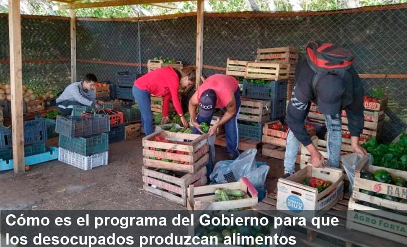 DeFrenteOK's tweet photo. El proyecto consiste en convocar a grupos de desempleados y subocupados de pequeñas cuidades del país para que se conviertan en productores de verduras agroecológicas, pollos, huevos, carne de cerdo y leche.

https://t.co/8KAUnKrP9V https://t.co/Q2L44ctiuB