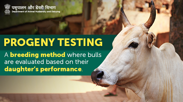 Progeny Testing Programme, initiated under NDP-I, can help produce ...