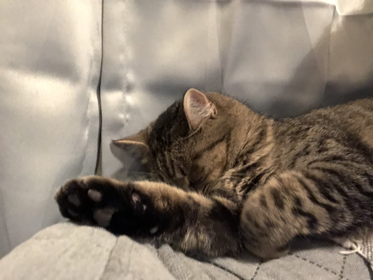 She's so cute when she sleeps ?? 
