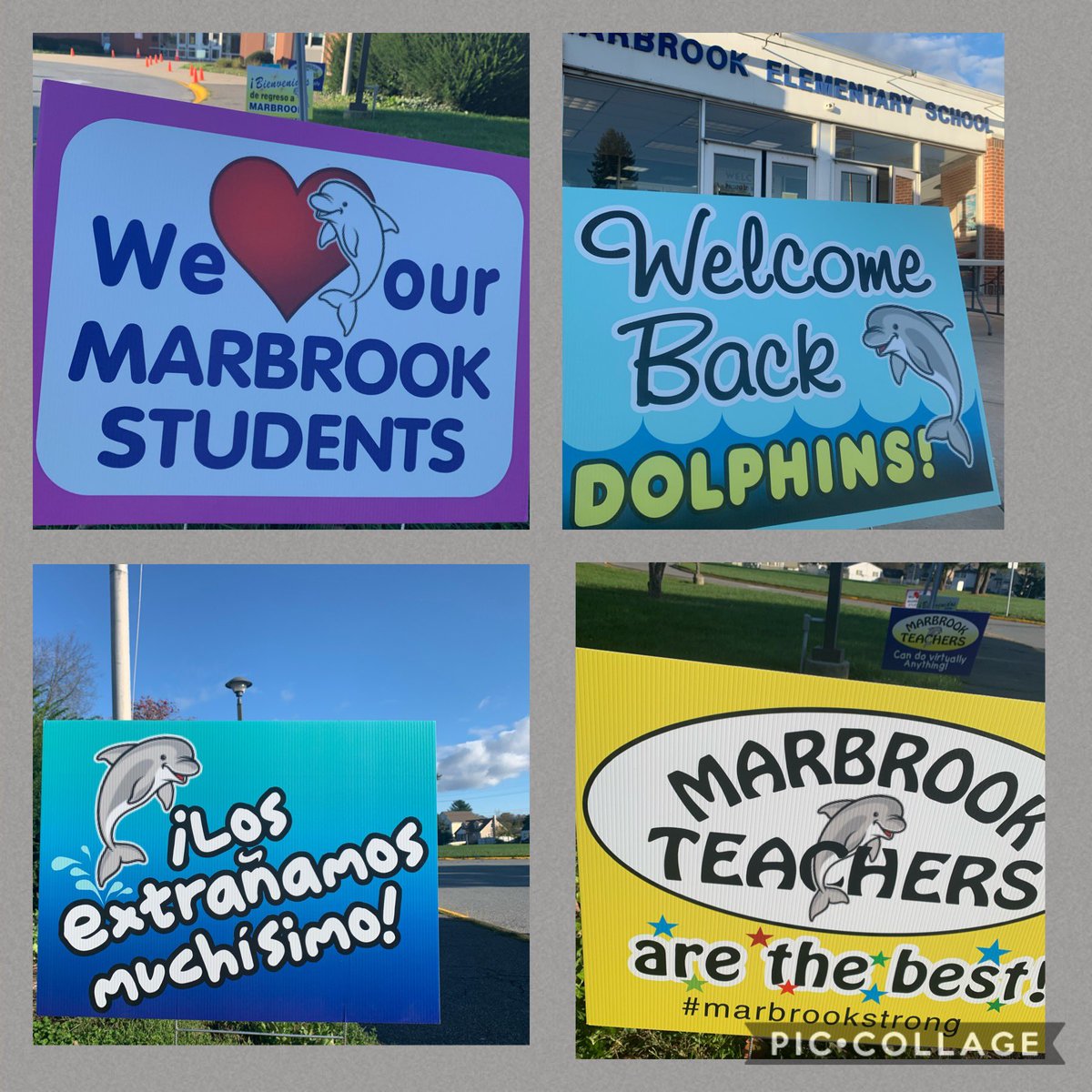 Maya Aldas tweet media