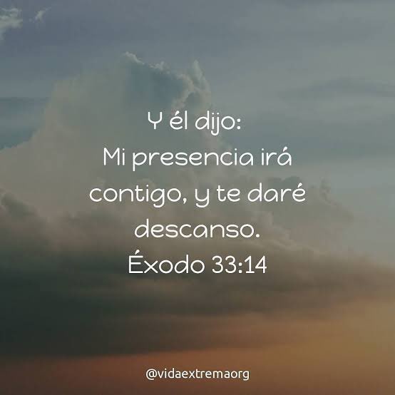 Mack Sanchez Ⓜ️ tweet media