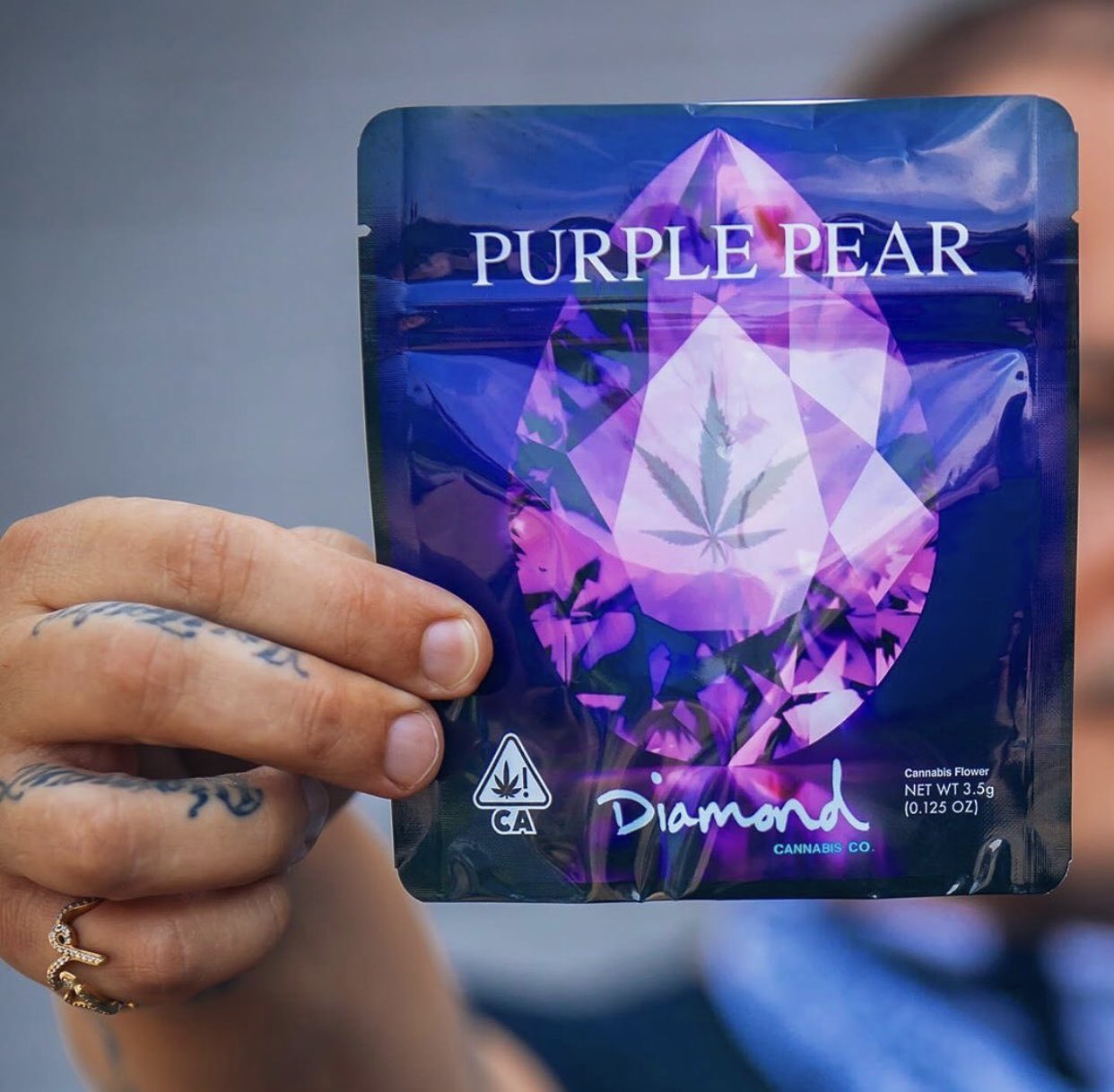 Bernersmerced on Twitter "Have you tried the new new from