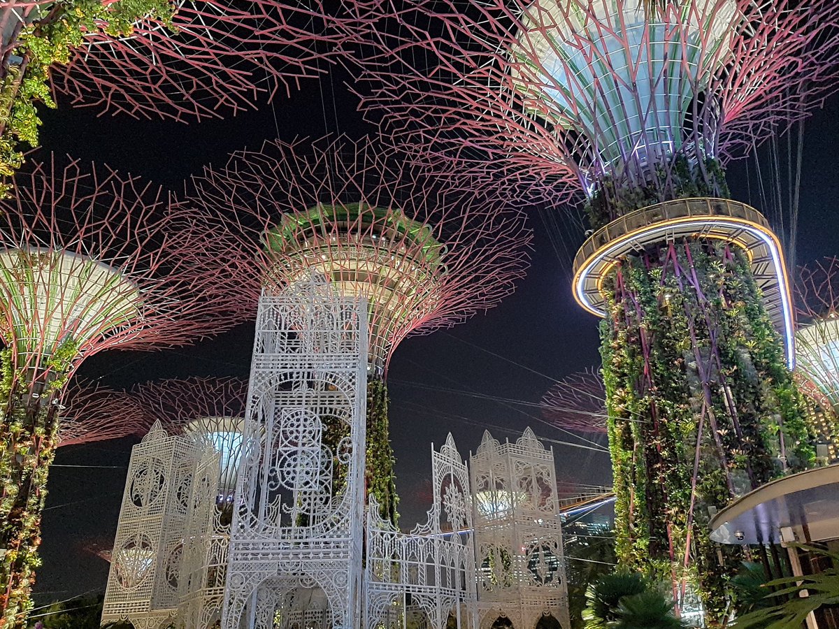 avgeeks_united's tweet photo. Gardens by the Bay ✨

Located by Marina Bay Waterfront in the heart of Singapore, Gardens by the Bay is a sanctuary for nature lovers and budding horticulturalists alike.
Comprising three distinct spaces over 101 hectares Bay South Garden, Bay East Garden and Bay Central Garden https://t.co/uPIpoO0M66