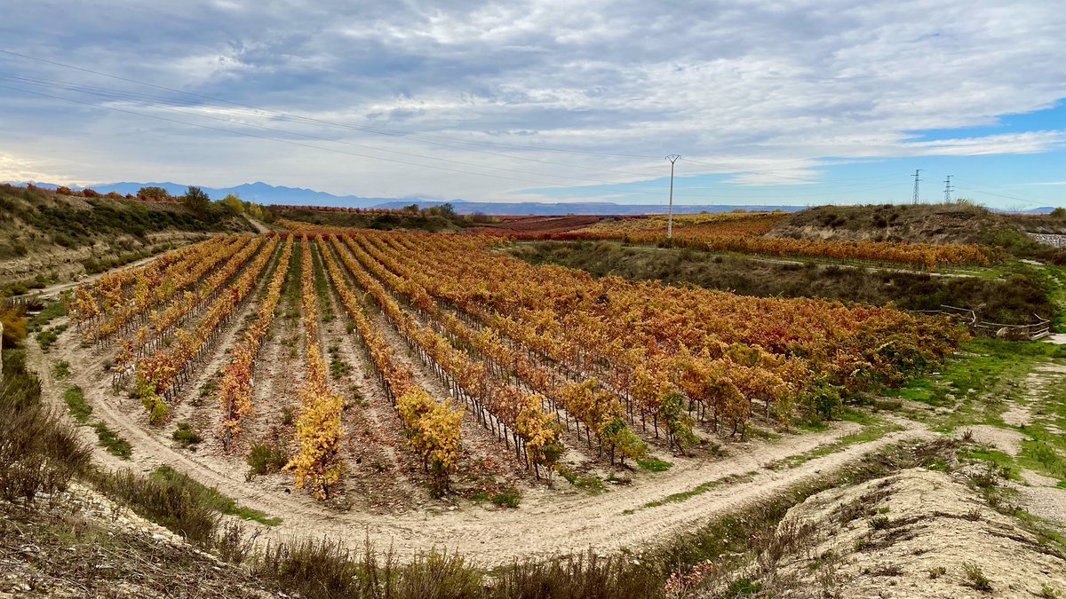 agarridoveg's tweet photo. ¿Se puede decir que vivimos en la tierra más bonita? ❤️🧡💛 #larioja #fotoadictos #lariojaturismo #lariojaapetece #photography https://t.co/94bdEop25M