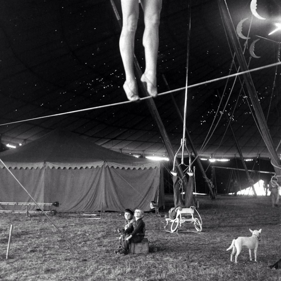 literland tweet media