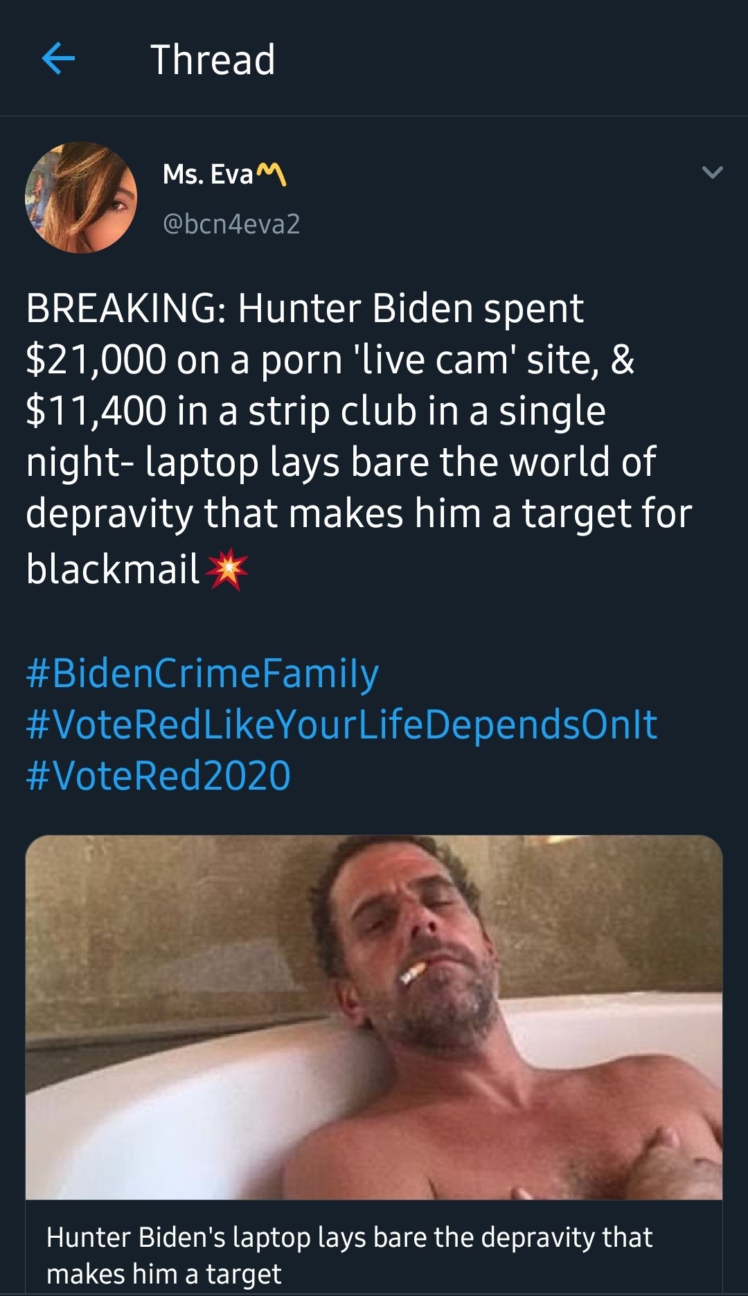 Grant OBrien on X: We should all be paying for our porn. Sex work is  work. Be like Hunter! t.coW8pl81EFpP  X