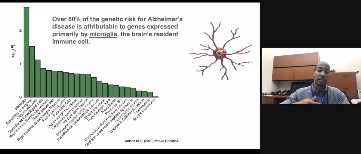 In fact, over 60% of  #Alzheimers genetic risk is related to genetic expression of  #brain immune cells