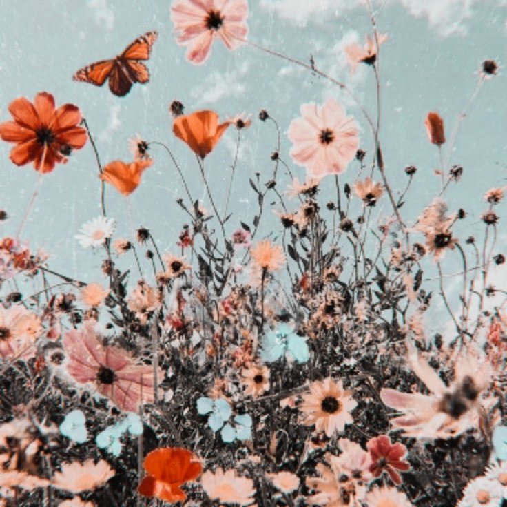 flterminnie's tweet photo. જ 𝐅𝐈𝐋𝐓𝐄𝐑 ، (필터)  
› mıx the colors of the pαlette  ɞ  

[#ARSD #ARMYSelcaDay @BTS_twt] https://t.co/2yI66WRmf9