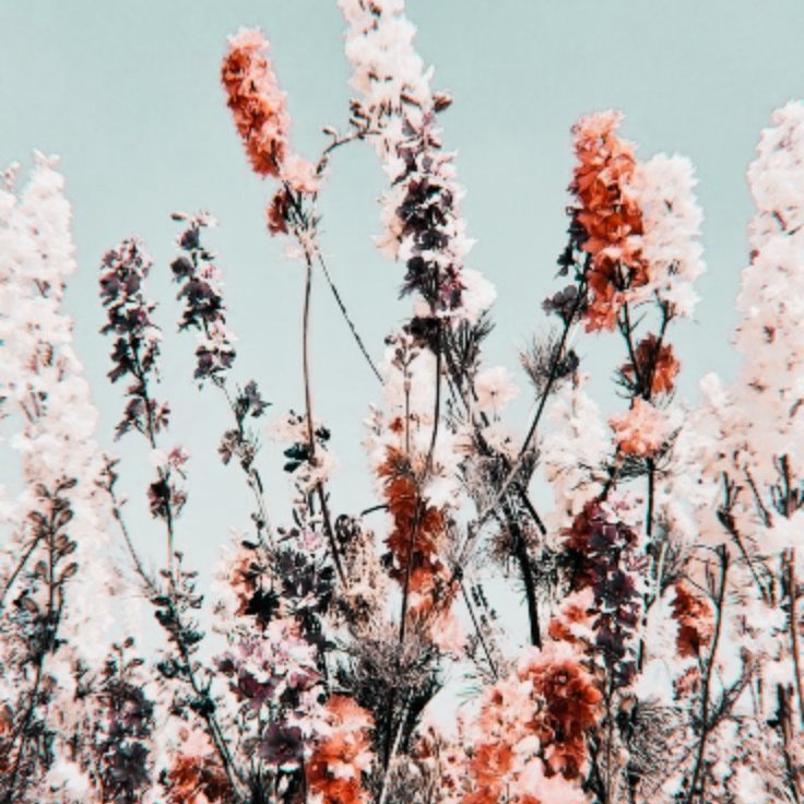 flterminnie's tweet photo. જ 𝐅𝐈𝐋𝐓𝐄𝐑 ، (필터)  
› mıx the colors of the pαlette  ɞ  

[#ARSD #ARMYSelcaDay @BTS_twt] https://t.co/2yI66WRmf9