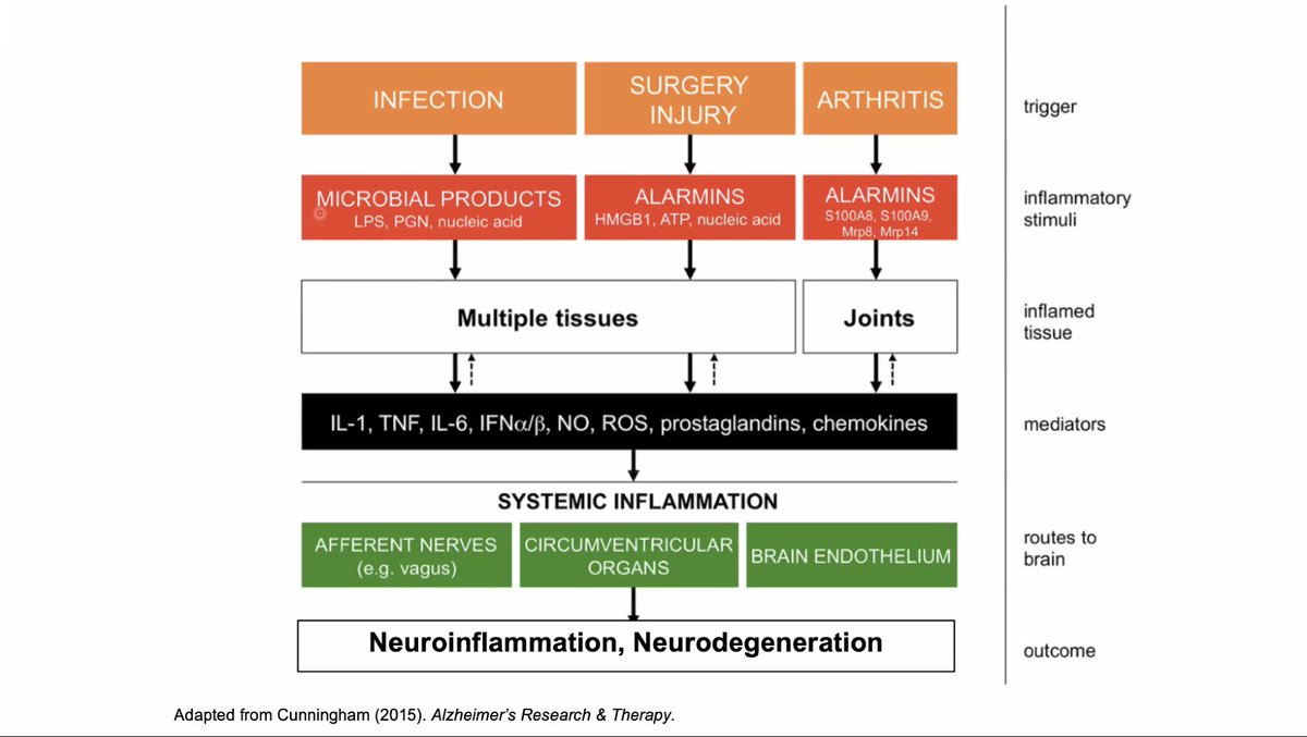 I love a good chart distilling complex ideas. Here you get a sense of the multiple routes leading to neuroinflammation.