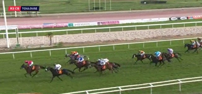 NicBellanger's tweet photo. 02/11/2020 Une 3ème place de SIMFAUST sur l'hippodrome de Toulouse .
#ecuriebellanger #Simfaust https://t.co/fuUzqqTXES