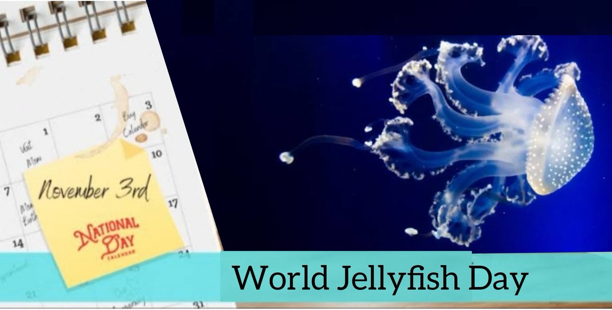 அரசி பெஞ்சமின் (Arasi Benjamin) tweet media