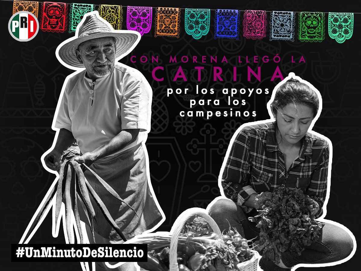 México está de luto por las instituciones que han desaparecido durante estos últimos dos años y que trajeron desarrollo a nuestro pais. #UnMinutoDeSilencio <a href="/alitomorenoc/">Alejandro Moreno</a>  
<a href="/caroviggiano/">Carolina Viggiano</a> <a href="/PRI_Nacional/">PRI</a>
