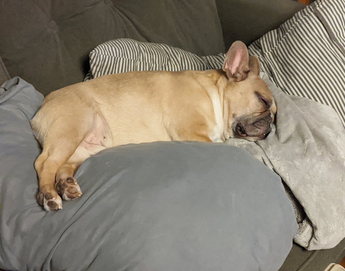 Those Monday feels 💤
#MondayMood 
#Mondayvibes